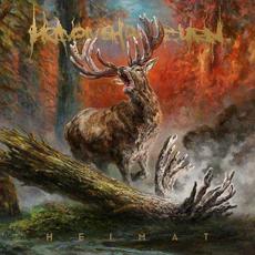 Heimat (Japanese Edition) mp3 Album by Heaven Shall Burn