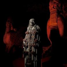 The Dark Path to the Light mp3 Album by Wolvennest