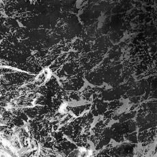 Reinvent mp3 Album by Wayd