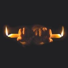 Burn It at Both Ends mp3 Album by Muscadine Bloodline