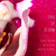 Trio of Bloom mp3 Album by Craig Taborn, Nels Cline, Marcus Gilmore