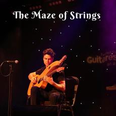 The Maze of Strings mp3 Album by Jamie Dupuis