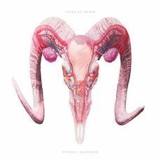 Eternal Bleeding mp3 Album by Veins Of Death