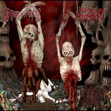 Excruciatingly Euphoric Torment mp3 Compilation by Various Artists