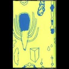 Is Night People mp3 Album by Raccoo-oo-oon