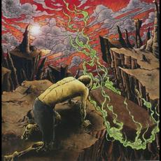 Internal Devastation mp3 Album by Dysentery