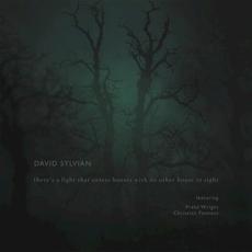 There's a Light That Enters Houses With No Other House in Sight mp3 Album by David Sylvian
