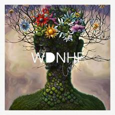 Consideration mp3 Album by WDNHF