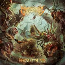 Paradise of the Flies mp3 Album by Gastrorrexis