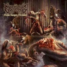 Realm Savagery Decimation mp3 Album by Gastrorrexis