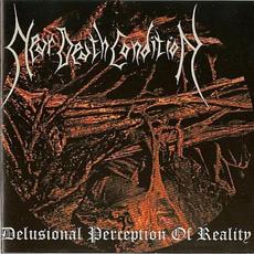 Delusional Perception of Reality mp3 Album by Near Death Condition