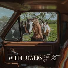 Wildflowers mp3 Single by Sophia Scott