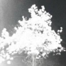 was mich hält mp3 Single by Klebstoff