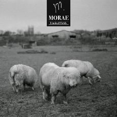 Liminal Fields mp3 Album by Morae