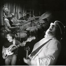 Humanizer mp3 Album by Sky High