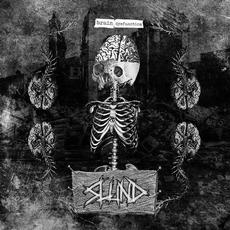 Slund - Brain Dysfunction (Extended Edition) mp3 Album by Slund