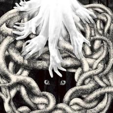 Chasm mp3 Album by The Tea Club