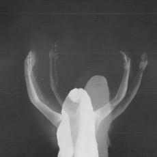 Radiance Opposition mp3 Album by Julie's Haircut