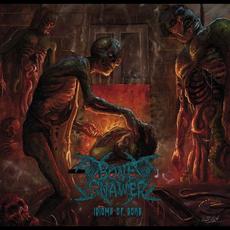 Idioms of Gore mp3 Album by Bone Gnawer
