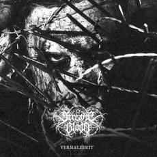 Vermaledeit mp3 Album by Streams of Blood