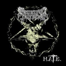 H.A.T.E. mp3 Album by Funeral Inception