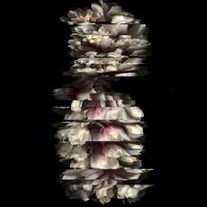 BLACKSHAPE mp3 Album by BLACKSHAPE