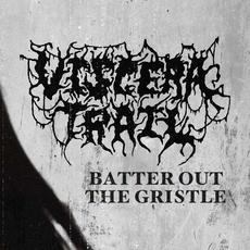 Batter Out The Gristle mp3 Single by Viscera Trail