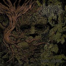 Lost Magic mp3 Album by Weeping Kin