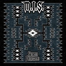 Storm Patterns mp3 Album by M.I.S.