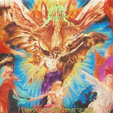 Constelación Inmaculada mp3 Album by Misa Silenciada