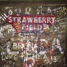 The Strawberry Field Sessions mp3 Album by Aviator