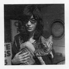 Reflection mp3 Album by Pet Symmetry