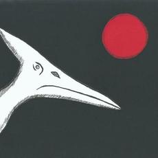 Night Raider mp3 Album by Yet To See A Yeti