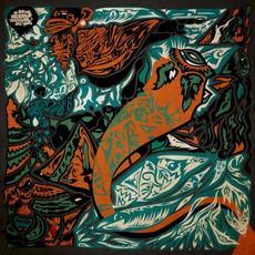 Interstellar Adventures of the Space Huns mp3 Album by The Space Huns