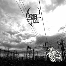 The Truths Out mp3 Album by Mental Az