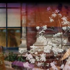 A Place You Grew Up In mp3 Album by Laveda