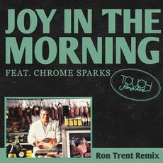 Joy In The Morning (Ron Trent Remix) mp3 Single by Touch Sensitive