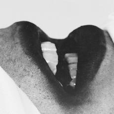 THE IDIOT KIDS LP mp3 Album by The Idiot Kids