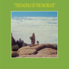 The Saddle of the Increate mp3 Album by Sun Araw