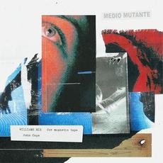 John Cage Williams Mix 23A (Stereo Version) mp3 Single by Medio Mutante
