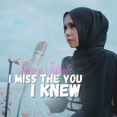 I Miss The You I Knew mp3 Single by Vanny Vabiola