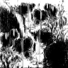 White's Dream mp3 Album by Binary Order