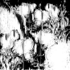 Black's Nightmare mp3 Album by Binary Order