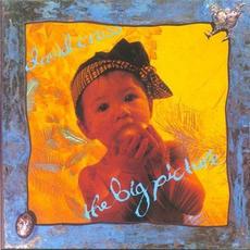 The Big Picture mp3 Album by David Cross