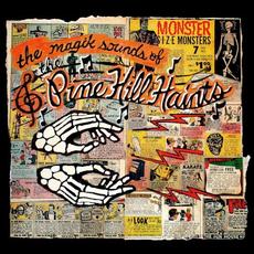 The Magik Sounds of the Pine Hill Haints mp3 Album by The Pine Hill Haints