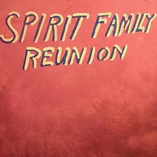 Hands Together mp3 Album by Spirit Family Reunion