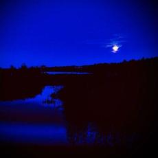 Dark Blue mp3 Single by Jamie Dupuis