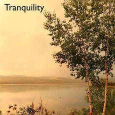 Tranquility mp3 Single by Jamie Dupuis