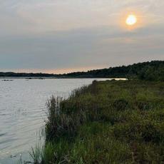 Soaring To The Light mp3 Single by Jamie Dupuis