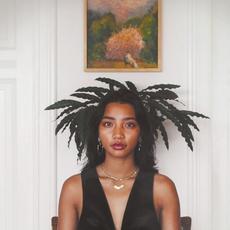 12 Bit, 10 Seconds, Infinite Flavor mp3 Album by Retrogott